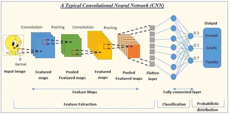 Mạng nơ-ron tích chập (Convolutional Neural Networks - CNNs)