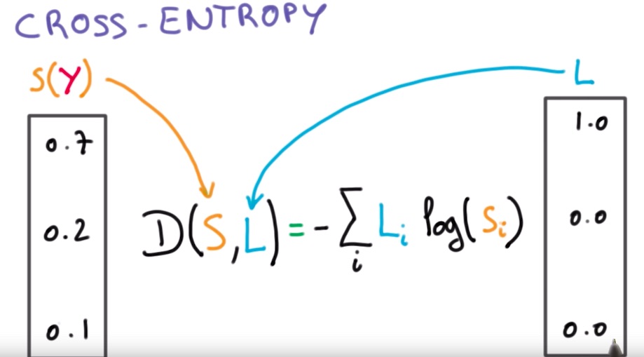 vai trò của cross-entropy loss