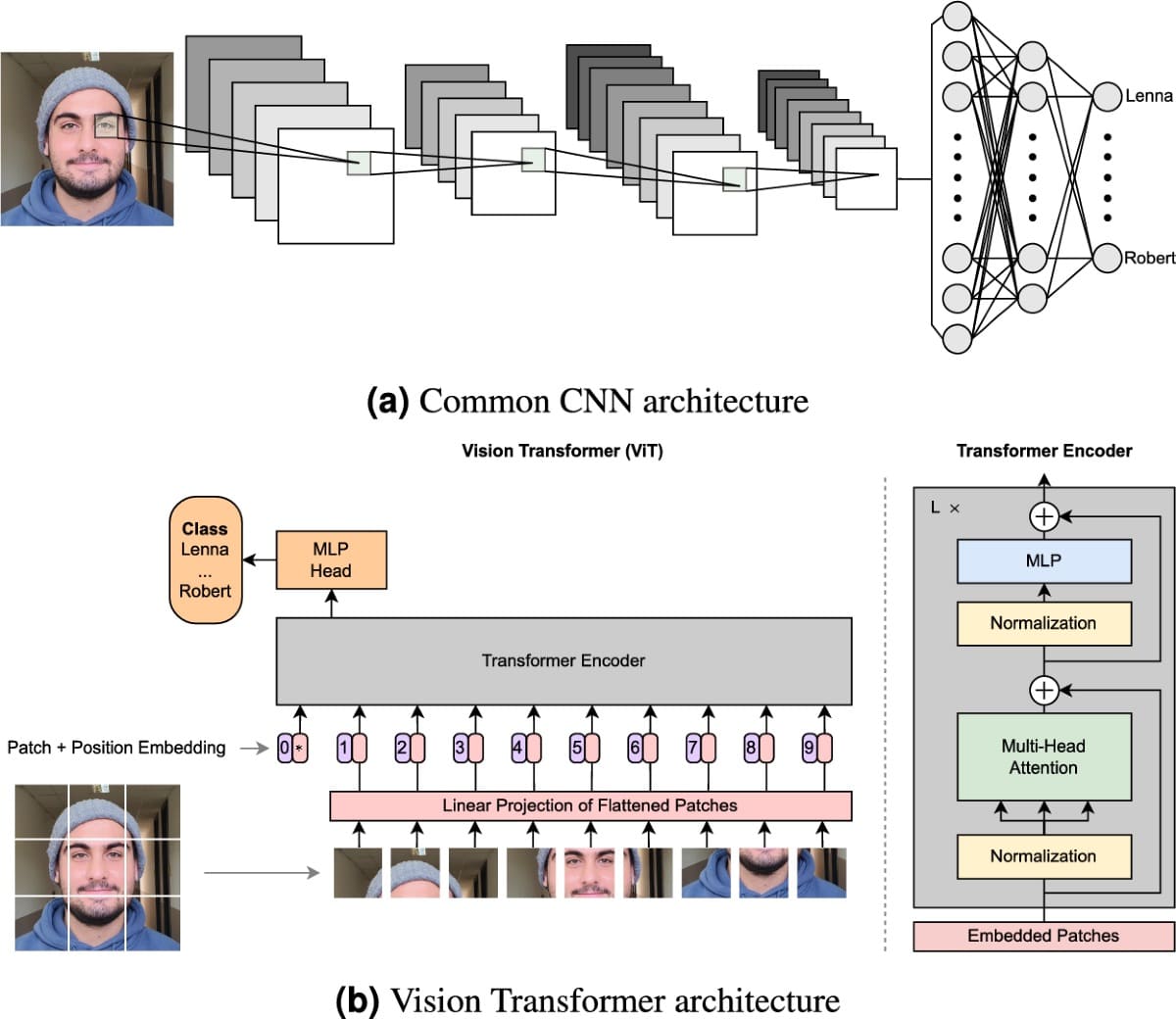 Vision transformer vs Convolutional Neural Network