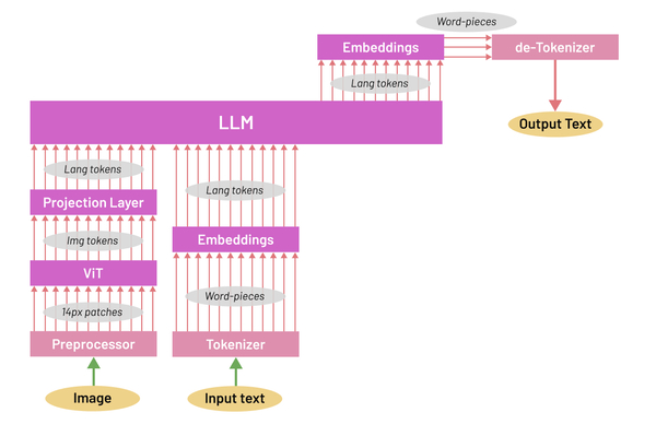 Visual Encoder (Bộ mã hóa hình ảnh)