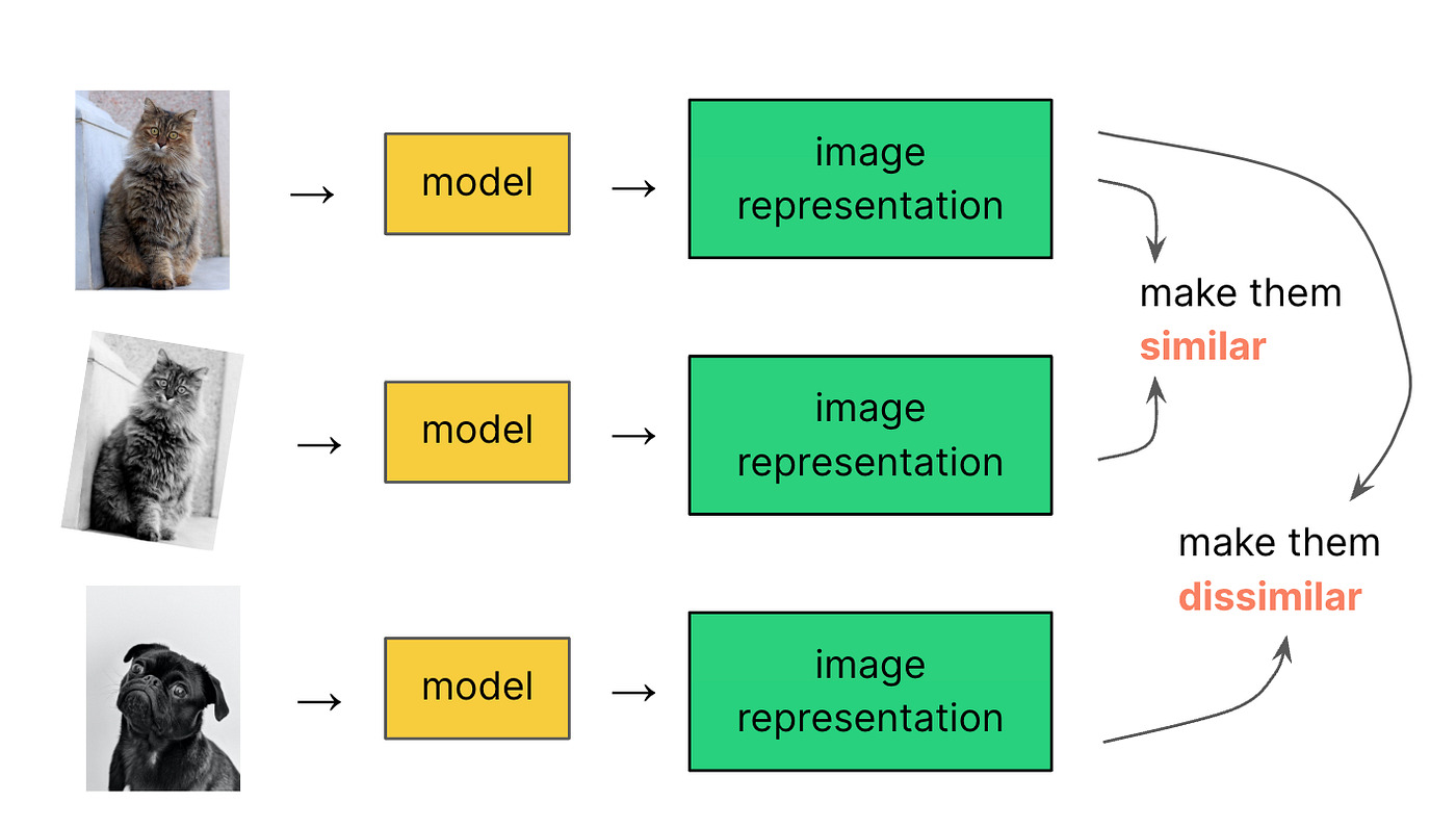 ưu điểm của self-supervised learning